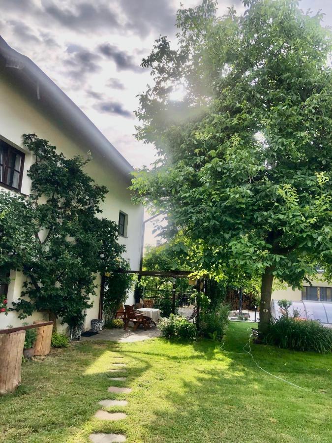 Pokoje V Chalupe Pod Milesovkou Velemin Dış mekan fotoğraf